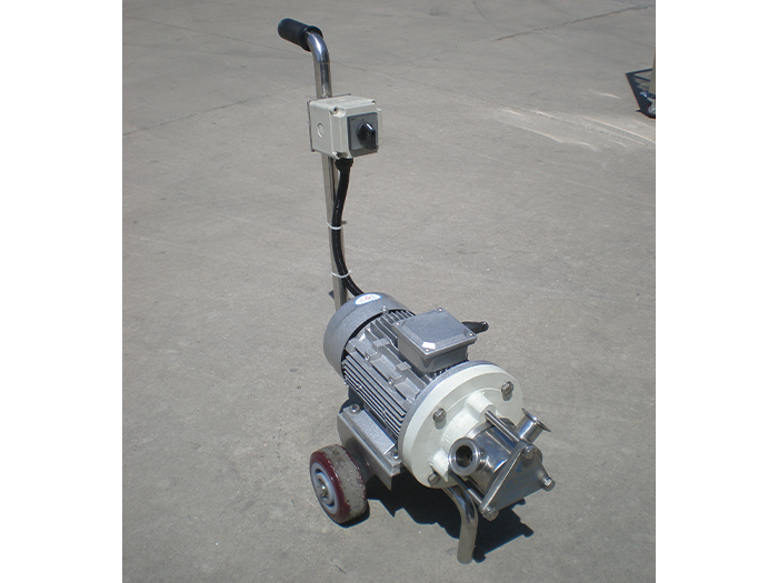 5噸轉(zhuǎn)子泵